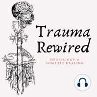 How Trauma Lives in the Body