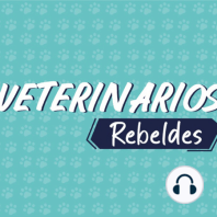 Veterinarios Rebeldes Episodio 5 - Hablemos de salud dental en nuestras mascotas