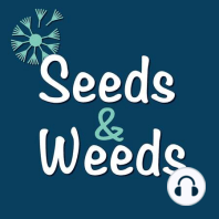 Let's Chat w/ Erica & Mike, Nature & Nurture Seeds