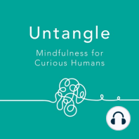 How a Panic Attack Drove Former News Anchor to Meditation. With Dan Harris.