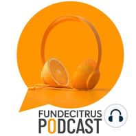 Adubação em citros: crescimento saudável, produtividade e lucratividade - Parte 2