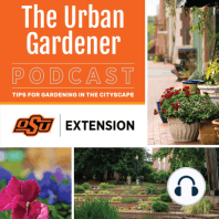 Episode 24: Smart Irrigation in the Hot Summer