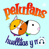 Pelufans, Huellitas y Más| Podcast episodio 6| Lo que debes saber de la adopción