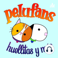 Pelufans, Huellitas y Más| Podcast Episodio 12| Conociendo a: Adopta Huajuapan