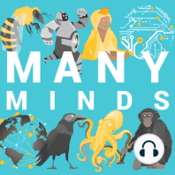 Many Minds turns two! Looking back on some favorite moments