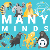 Dawn of the smile | Many Minds Podcast