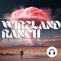 Episode 5: Welcome to Wireland