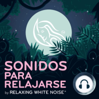 Ruido blanco del motor de un avión | Sonidos relajantes de vuelo para estudiar, concentrarse o dormir (8 horas)