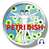 Ep. 43 Prions: Mad Cows and Mad Proteins