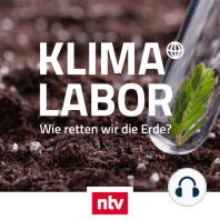 "Klima-Labor" von ntv: Ab 2. September jeden Donnerstag