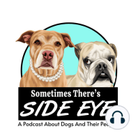 Sometimes There's Side Eye - Episode 14: Traveling with Dogs!