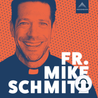 Fr. Mike Schmitz Reviews "Sound of Freedom" Movie