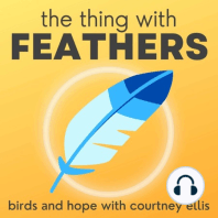 08: No-Drama Nuthatches and the Art of Paying Attention (Susie Finkbeiner, author and birder)