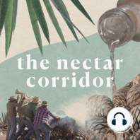 Trailer - The Nectar Corridor