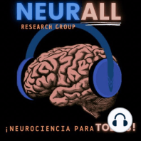 Tercer Cerebro: Sistema neuroendocrino difuso. ft Mauricio Moreno