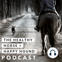 Episode 3 - Castration Scar Manipulation in Geldings with Dr Louise Cosgrove
