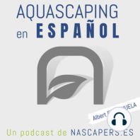 Episodio #102: Entrevista a Raúl Gargallo – Concursos Aquascaping Parte 3