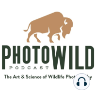 Episode 11: Bird Photography in the Prairie Potholes