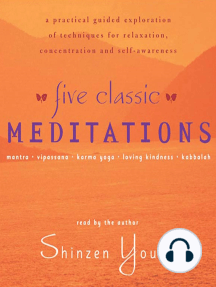 Five Classic Meditations by Shinzen Young (Audiobook) - Read free ...