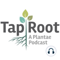 Taproot S6E1: May I have your attention, please? Searching for causal mutations and for institutional support.