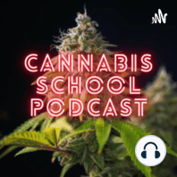 Cannabis School Presents: Medical Minute with Tim Pickett