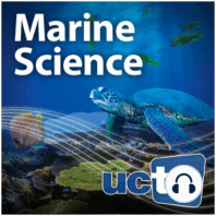 Shark Geek: A Window into Shark Ecology in the Southern California Bight