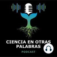 Episodio 4 - Evolución