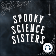 Spooky True Crime Vol. 4: Oops, All Witches