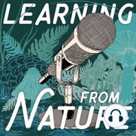 All About AskNature with Andrew Howley