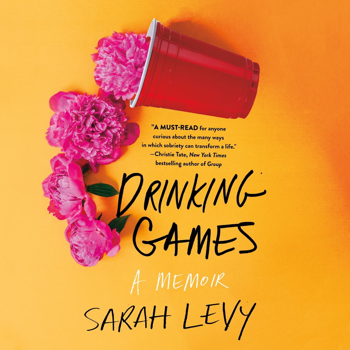 Drinking Games by Sarah Levy image