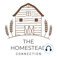 Ep. 5 Urban Homesteading and How to Start