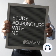 Dampness Traditional Chinese Medicine | Study Acupuncture with Me | Study Guide Download at my site