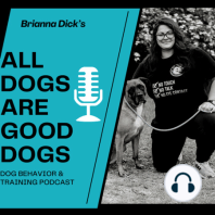 S3. Ep2. "I Adopted a Dog with Behavioral Problems" A Client Interview