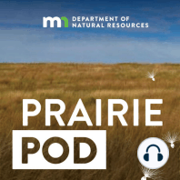 To picture a prairie: Prairie inspires art and expression