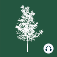 Rod Walker | “Los árboles nos hablan” | 21