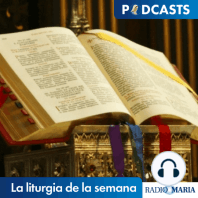 La liturgia de la semana 17/11/18