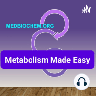 METABOLISM: A Biochemical Summary