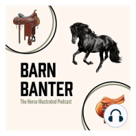 Ep11-Equestrian physical therapy and interior design