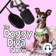 The Doggy Diva Show - Episode 7 Pets & Back to School | Affordable Pet Medication