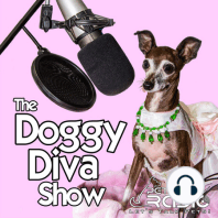 The Doggy Diva Show - Episode 40 Prevent Animal Cruelty | Animal Emotions | Pet Art