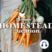 We are BACK + Seasons in Homesteading