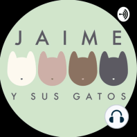 Ep 243 ideas sobre gatos en el folklore mexicano