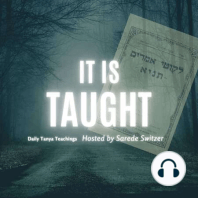 Episode 672 10 Tishrei (Regular Year)  - How the Light Gets Through