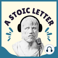 Letter 8 - On The Philosopher's Seclusion