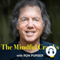 Episode 27 - Daniel Nehring - Mindfulness and Therapeutic Cultures