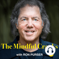 Episode 40 - Gail Stearns: Liberating Mindfulness