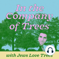 Trailer: In The Company of Trees