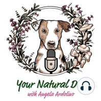 21. Reactive Dog Training with Michele Rhoades