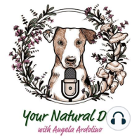 25. How to Help Dogs with Firework Anxiety with Carter Easler