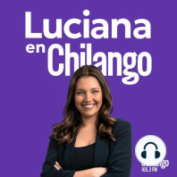 Maltrato y abuso animal en México, estafa Ponzi y chinches en la UNAM